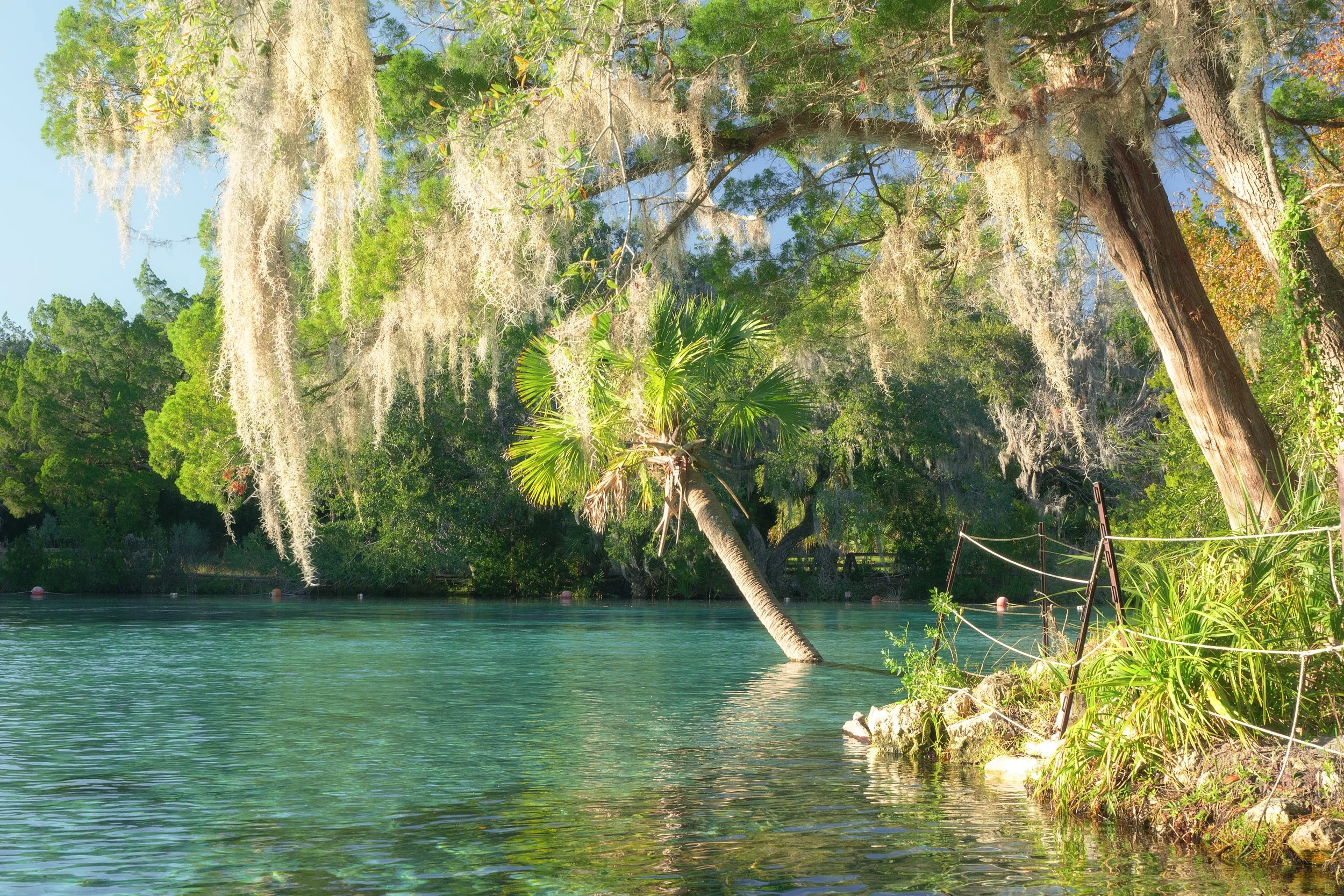 Ocala Waterways community